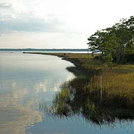 Weeks Bay National Estuarine Research Reserve